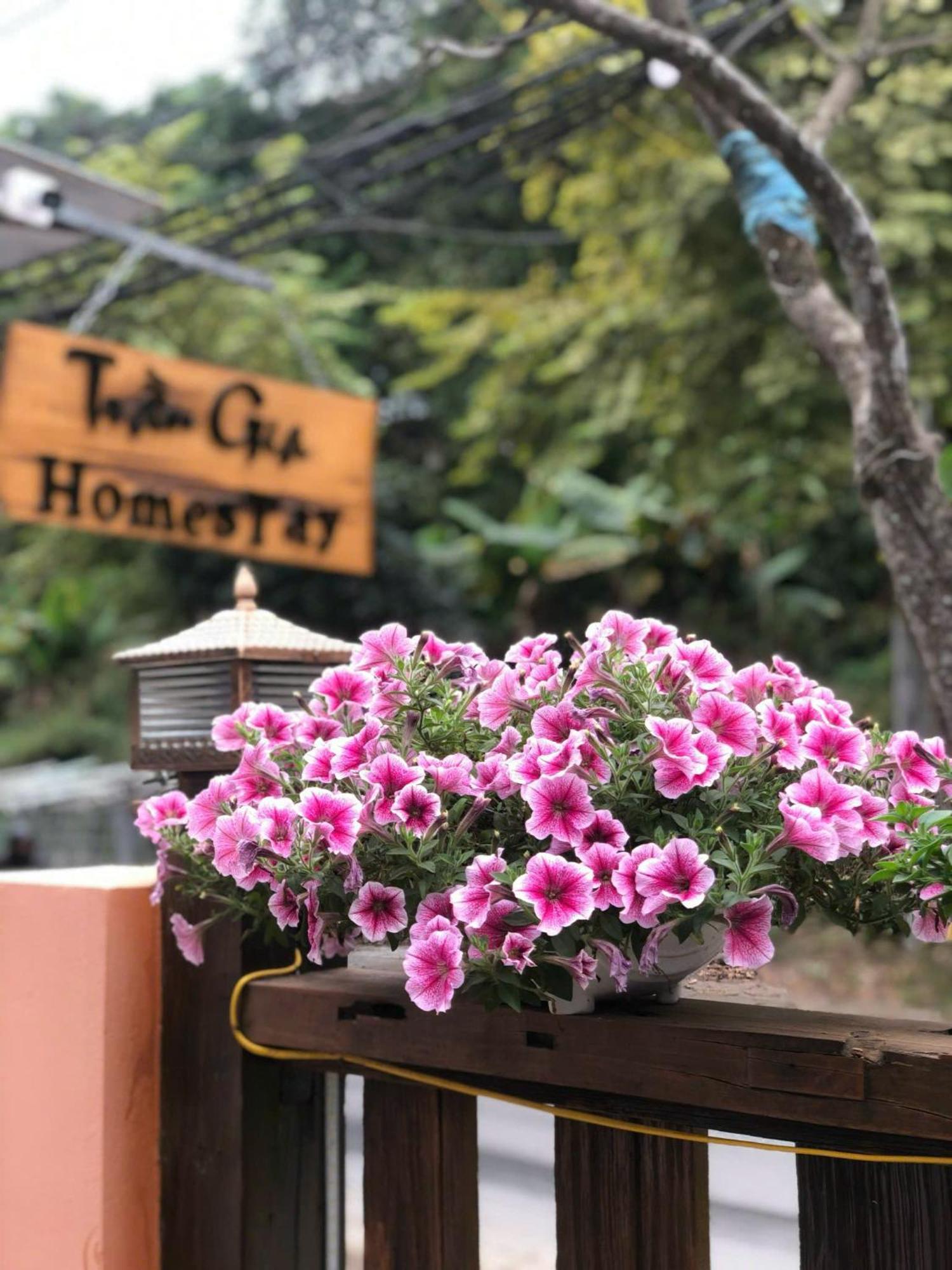 Nghia Lo Tran Gia Homestay מראה חיצוני תמונה
